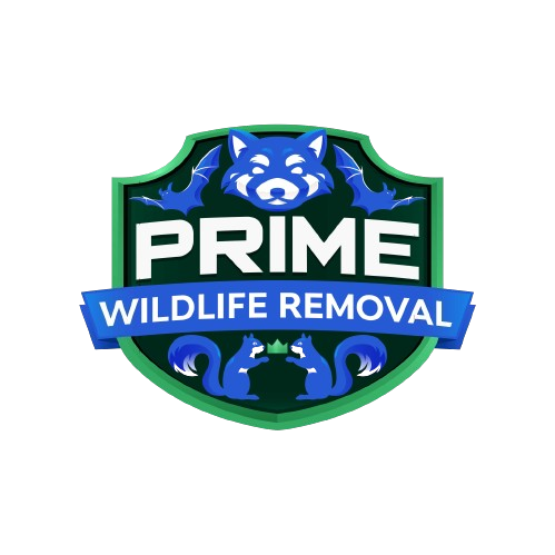 Wildlife Removal Ira Township